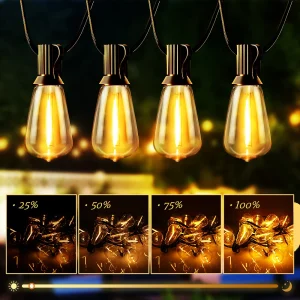 Solar String Lights