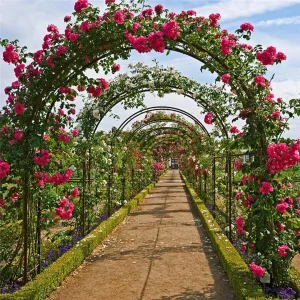 Heavy Duty Metal Garden Archway